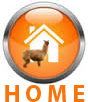 home button
